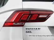 Volkswagen Tiguan Luxury năm 2019