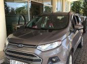 Cần bán lại xe Ford EcoSport năm sản xuất 2016, 450tr