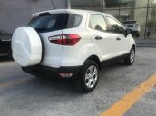 Cần bán Ford Ecosport 1.5L MT, mới 2020. Giá tốt nhất trong đại dịch - Hỗ trợ 200 triệu lăn bánh, giao xe toàn quốc