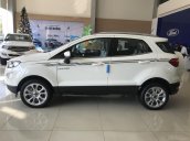 Cần bán Ford Ecosport 1.5L MT, mới 2020. Giá tốt nhất trong đại dịch - Hỗ trợ 200 triệu lăn bánh, giao xe toàn quốc