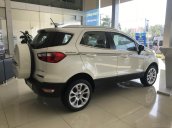 Cần bán Ford Ecosport 1.5L MT, mới 2020. Giá tốt nhất trong đại dịch - Hỗ trợ 200 triệu lăn bánh, giao xe toàn quốc