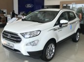 Cần bán Ford Ecosport 1.5L MT, mới 2020. Giá tốt nhất trong đại dịch - Hỗ trợ 200 triệu lăn bánh, giao xe toàn quốc