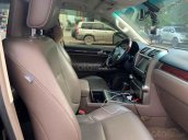 Cần bán gấp Lexus GX 460 Premium sản xuất năm 2010, màu đen