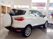 Bán xe Ford EcoSport Trend AT 2020 giá hủy diệt