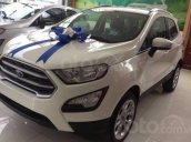 Bán xe Ford EcoSport Trend AT 2020 giá hủy diệt