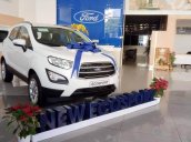 Bán xe Ford EcoSport Trend AT 2020 giá hủy diệt