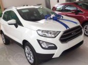 Bán xe Ford EcoSport Trend AT 2020 giá hủy diệt