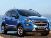 Cần bán Ford EcoSport Titanium 1.5 AT đời 2019, màu xanh lam