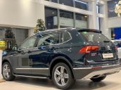 Bán xe VW Tiguan Allspace đổi màu xe theo phong thủy - đẹp - độc- lạ -> xanh rêu