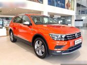 Tiguan Allspace Cam 2020 - phân khúc: Xe gầm cao SUV 7 chỗ - xuất xứ nhập