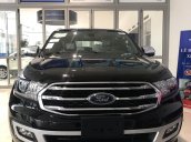 Sẵn xe Ford Everest 2020 và 2019 mới 100%, Titanium 1 cầu, 2 cầu, giá cực tốt, giao xe toàn quốc