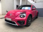 Volkswagen Beetle xứng đáng trở thành một dòng xe huyền thoại, rất khó có một dòng xe nào có thể có được