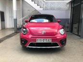 Volkswagen Beetle xứng đáng trở thành một dòng xe huyền thoại, rất khó có một dòng xe nào có thể có được