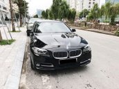 Cần bán BMW 5 Series 520i năm 2014, màu đen, xe nhập chính chủ