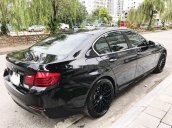 Cần bán BMW 5 Series 520i năm 2014, màu đen, xe nhập chính chủ