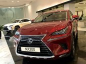 Bán Lexus NX 300 2020, màu đỏ, nhập khẩu