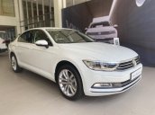 Passat Bluemotion xe nhập khẩu từ Đức - Chương trình khuyến mãi mùa hè cực hot 