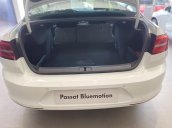 Passat Bluemotion xe nhập khẩu từ Đức - Chương trình khuyến mãi mùa hè cực hot 