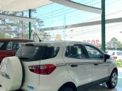 Cần bán Ford EcoSport đời 2020, màu trắng, giá chỉ 648 triệu