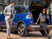 Peugeot 3008 Al 2020 New 100%