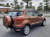 Cần bán Ford EcoSport 1.0L sản xuất năm 2018, màu nâu, xe cũ, biển Sài Gòn