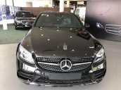 Cần bán xe Mercedes C300 đời 2019, màu đen như mới