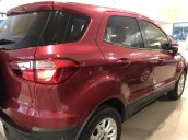 Cần bán lại xe Ford EcoSport đời 2016, màu đỏ