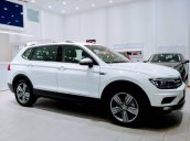 Bán Volkswagen Tiguan sản xuất 2018, màu trắng, xe nhập