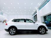 Bán Volkswagen Tiguan sản xuất 2018, màu trắng, xe nhập