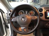 Bán Volkswagen Tiguan đời 2010, màu trắng