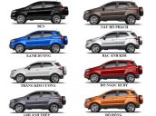 Bán nhanh với giá thấp chiếc Ford Ecosport Ambient 1.5 MT đời 2020, giao nhanh