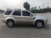 Bán ô tô Ford Escape đời 2010, màu bạc, giá chỉ 360 triệu