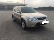 Bán ô tô Ford Escape đời 2010, màu bạc, giá chỉ 360 triệu