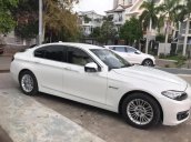 Xe BMW 5 Series 520i sản xuất 2015, xe nhập còn mới