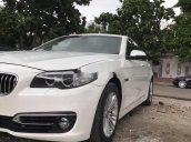 Xe BMW 5 Series 520i sản xuất 2015, xe nhập còn mới