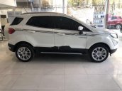 Bán xe Ford EcoSport năm 2019, màu trắng như mới, giá tốt