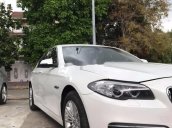 Xe BMW 5 Series 520i sản xuất 2015, xe nhập còn mới