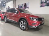 VW Sài Gòn - Tiguan Luxury S dành cho quý khách hàng mê Ffroad