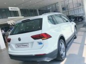 Bán Volkswagen Tiguan 2018, màu trắng, nhập khẩu nguyên chiếc