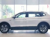 Bán Volkswagen Tiguan 2018, màu trắng, nhập khẩu nguyên chiếc