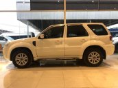 Bán Ford Escape sản xuất năm 2010, màu trắng như mới, giá 339tr