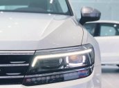 Bán Volkswagen Tiguan 2018, màu trắng, nhập khẩu nguyên chiếc
