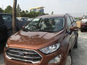 Ford Ecosport 2020 vay lãi suất 0%, ưu đãi phí trước bạ - tặng tiền mặt 35tr, BHVC, ngân hàng hỗ trợ 80%