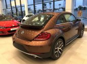 Bán Volkswagen Beetle năm 2020, màu nâu, xe nhập