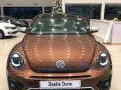 Bán Volkswagen Beetle năm 2020, màu nâu, xe nhập