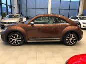 Bán Volkswagen Beetle năm 2020, màu nâu, xe nhập