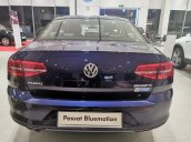 Passat Bluemotion - Lăn bánh sang chảnh theo phong cách doanh nhân