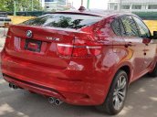 BMW X6 2010 - Hàng độc - Chưa đăng ký tại VN