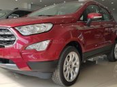 Ford Ecosport 1.0 Titanium đủ màu, giao ngay