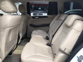 Mercedes GLS350D 2018, đăng ký lần đầu T1/2019